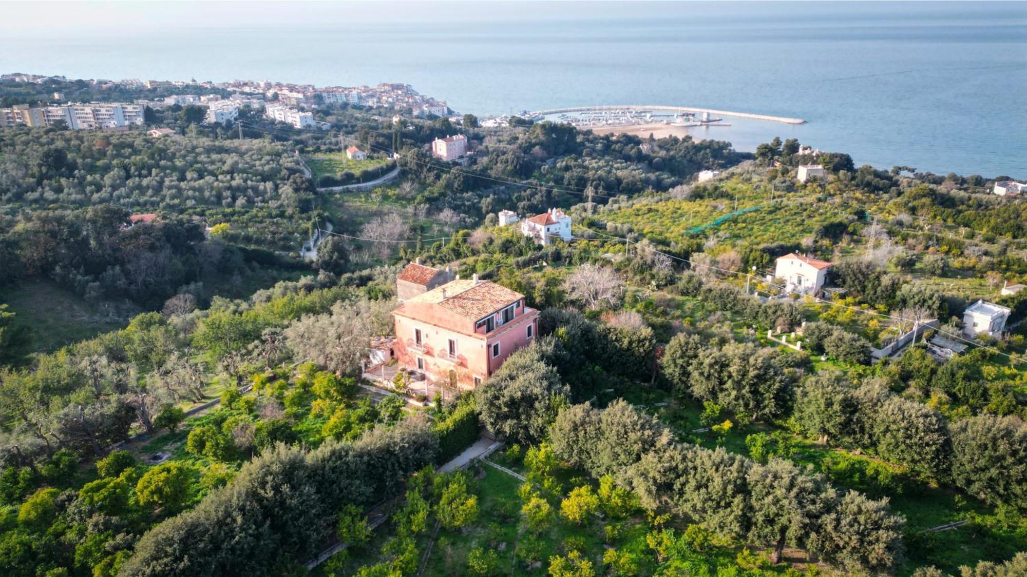 로디가르가니코 I Frangiventi B&B 외부 사진